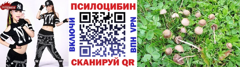 Купить где  Карпинск  Галлюциногенные грибы прущие грибы 
